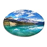 Décorez votre maison : ce luxueux tapis à poils longs est le point focal de la décoration de la maison, créant un nouvel endroit de rassemblement pour votre chambre et votre salon. En même temps, les tapis en peluche sont disponibles dans une variété de tailles et de motifs, ajoutez un nouveau style à votre intérieur.