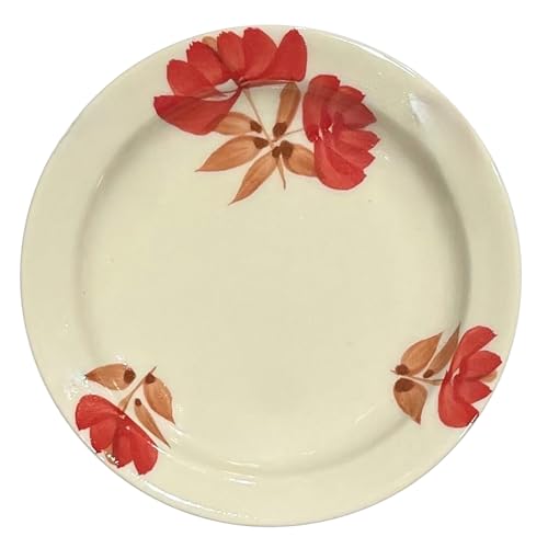 波佐見焼 皿 小皿 手描き 藍染窯 オリエンタル リムプレート S 赤 約11cm