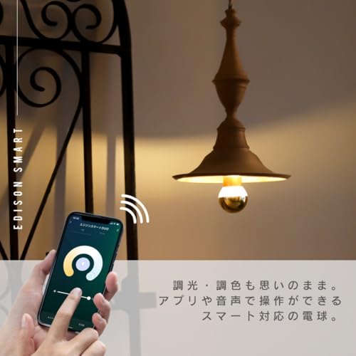 エジソンバルブLEDスマート E17 スマート電球 DUO ハーフミラー (ミニGLOBE) Alexa対応 LED電球 スマートled電球 電球色 調光 冷暖調色 Wi-Fi スマホで操作 音声操作