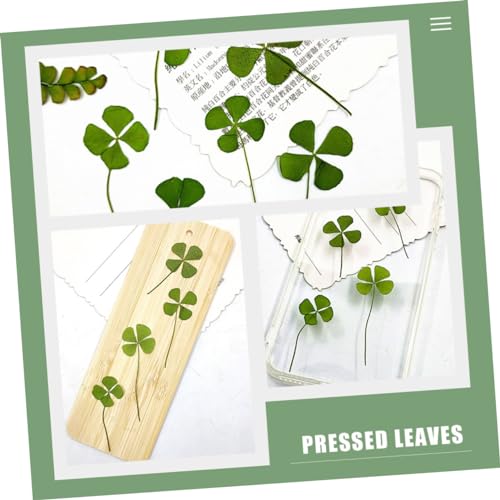 Cabilock 24pcs hojas de trébol secas prensadas para manualidades miniatura 3