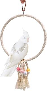 Barn Eleven Bird Toys Metal Cotton Rope Swing Parrot Perch Swings Toys Parrot Cage Toys Bird Hanging Swing Ladder Chewing Toys for Parrots Budgie Parakeet Cockatiel Cockatoo Conure (Large,White)