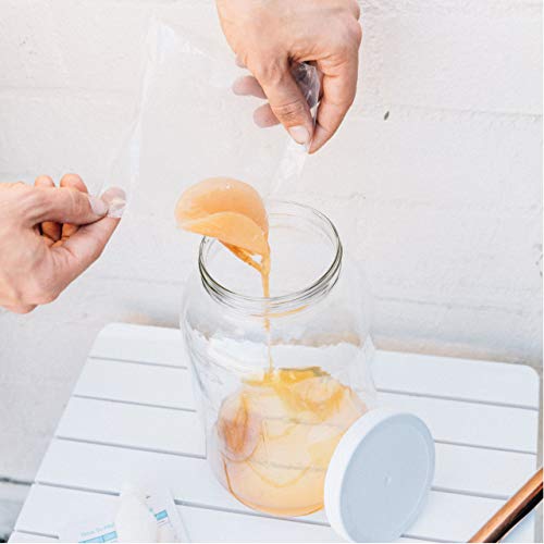 Joshua Tree Kombucha Basic Starter Kit - Basic Homebrew Kit Contains Kombucha SCOBY with Strong Starter Liquid, 1 Gallon Glass Fermenting Jar, Cloth Cover, Easy Brewing Instructions