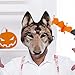 1Pcs Wolf Mask Halloween Half Face Wolf Mask Masquerade Masks for Halloween Christmas Carnival Cosplay Costume Accessories (Brown)