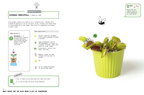 Grow Your Own Pet Plants: A Cute Guide to Choosing and Caring for Your Leafy Friends - Image 9