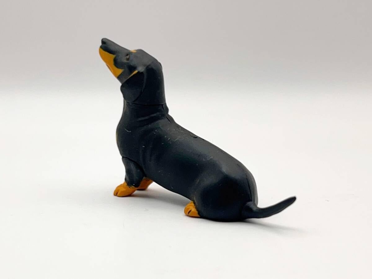 Amazon | 〓海洋堂〓チョコQ ペット動物 第3弾 ダックスフント短毛