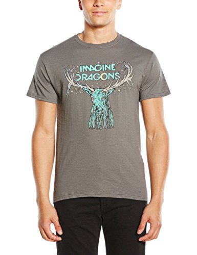Imagine Dragons - T-shirt - Manches courtes Homme, Gris (Grey), Large