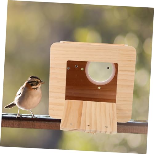Nichoir d'élevage de perroquets extérieur et nid d'oiseau décor - 6