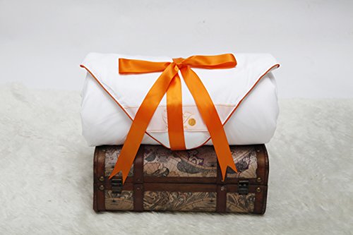 Silk Camel Luxury Comforter Filled With 100% Natural Long Strand Mulberry Silk For Fall/Autumn - Queen Size #TOP5