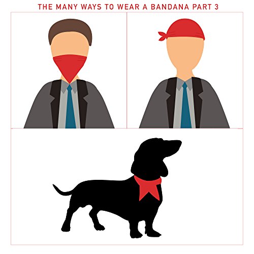 Original Elephant Brand Bandanas 100% Cotton Since 1898 - 5 Pack (Black)