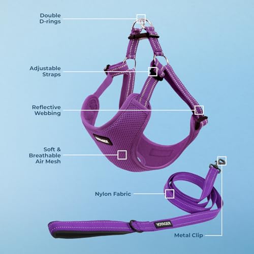 Image of Best Pet Supplies Voyager Adjustable Step-in Flex Breathable Mesh Dog Harness for Small Medium Large Dogs Leash Set (Purple), L