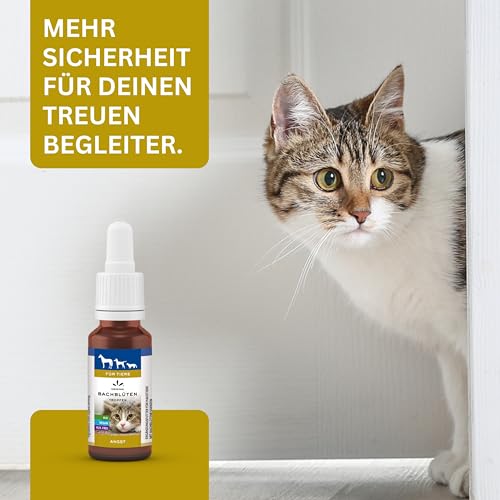 Lemon Pharma Bachblüten Tropfen Angst für Tiere – Beruhigung, Anti Stress für Haustiere, für Katzen und Hunde, Bio & Vegan