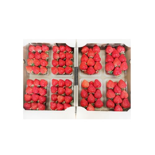 完熟 朝採れ 福岡県産 ブランドいちご あまおう (小粒 約270g×8パック)[2026年1月から順次発送]