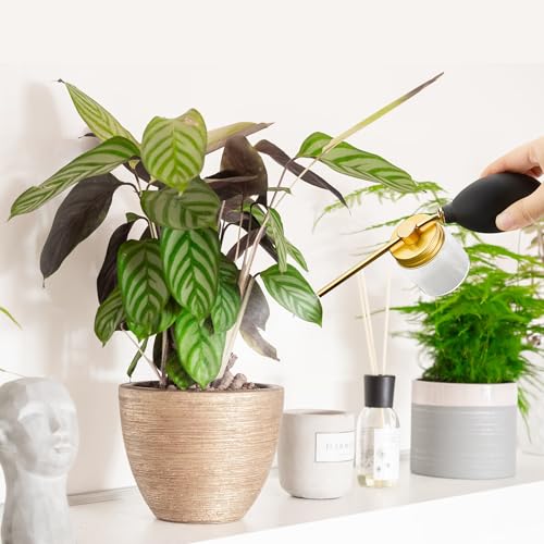Aplicador de polvo de tierra de diatomeas para jardín miniatura 6