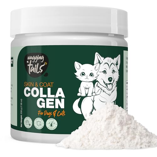 Image of Wagging Tails Skin & Coat Collagen for Dogs & Cats |Marine Collagen with Omega 3, 6 & 9, Biotin|Reduces Shedding & Itching|Shiny Fur & Healthy Skin|200g Powder