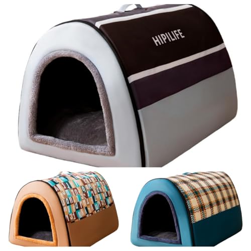 LightRiseybgxbh  h[^xbh ~p lGp  nEX pLnEX  Lp nEX ~ 薰 L Q g ۉ ӂӂ ΍ ϖՐ  Lp ^ K 􂦂 ybgpi (k