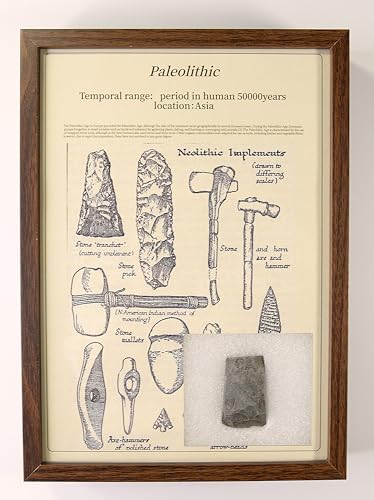 Image of Natural Mineral Specimen Collection Set - 14Rare Minerals (Agate, Meteorite Glass, Pyrite) Home Decor Gift for Geologists Gift for Rock Collectors Framed (Paleolithic(Large), 9X12.75)