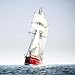 Sailing tall Boats 2025