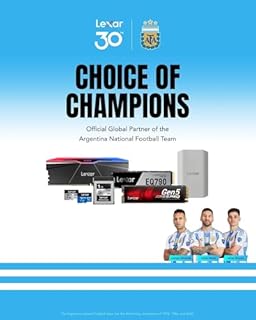 Lexar ARES SSD 512GB M.2 2280 PCIe Gen4x4 NVMe Interno – Fino a 7.200 MB/s in Lettura, SSD per PS5, PC, Laptop, Videogiocatori, Creativi, Professionisti