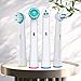 Oral B Replacement Brush Heads- Oral B Braun Ortho & Power Tip Generic Replacement Toothbrush Head- 20 Pack of OralB Electric Toothbrush Heads for Braces Alayna