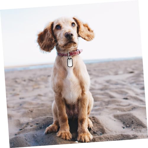 Toddmomy Hundemarken Tag Silencers Für Hunde Geräuschreduzierende Dogtags Ideal Für Hundehalsbänder Und Erkennungsmarken