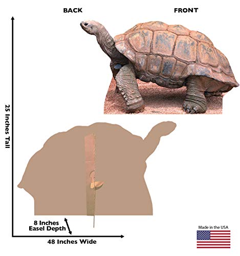 Image of Cardboard People Tortoise Life Size Cardboard Cutout Standup