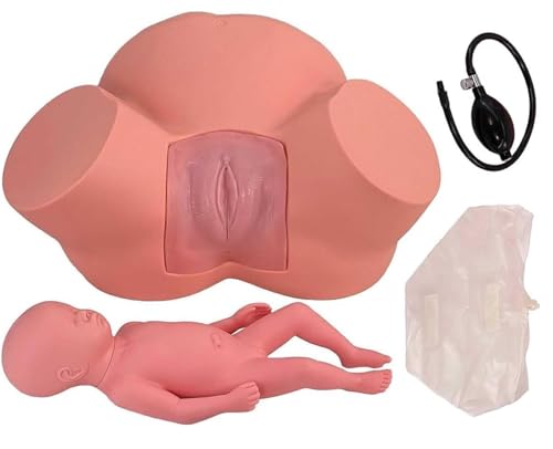 Female Childbirth Manikin, Female Gynecological Manikin Model, Advanced Midwifery Training Model,Dystocia Midwifery Training ModelStandard Childbirth Simulator for Gynecology Teaching