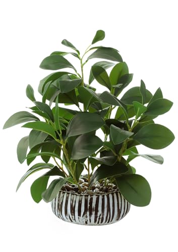 Bafenli Plantas Artificiales Peperomia Plantas Falsas con Cemento Maceta para Habitación Casa Baño Dormitorio Cocina Oficina Mesa Interior Exterior Decoración