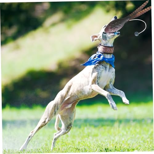 Bird Launcher Hundetraining Simulierte Truthahn Dummy Launcher Hund Training Bite Resistant Hundetraining Spielzeug Fun Hunde Interaktive Spielzeug Jagd Retriever Hundetraining Accessoires, Hund Stoß