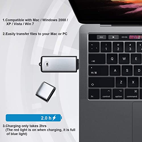 Lychee Mini Registratore Vocale Digitale 8 GB