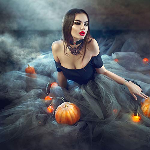 AnotherKiss Gothic Ruby Retro Black Velvet Choker Necklace for Women, Halloween Vampire Cosplay Jewelry3