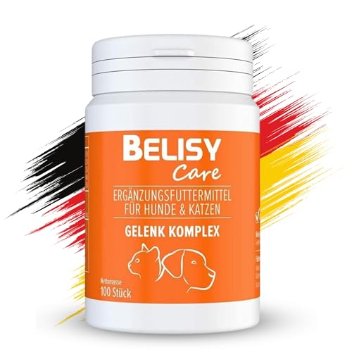 BELISY Comprimés articulaires naturels pour chiens – avec moule aux orles verts, glucosamine, griffe du diable et MSM – Comprimés de protection des articulations et des os pour chiens (150 g)