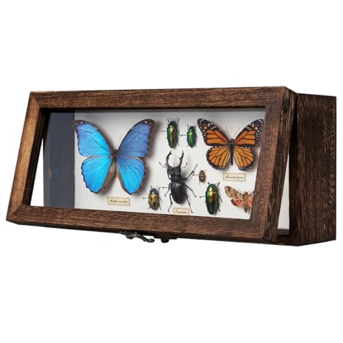 Shadow Box 5 x 12.5, Solid Wood Box Frame with Linen Background and 10 Solid Wood Pins, 2 Hanging Designs, Memory Display Case for Wedding Bouquet Memorabilia Medals Photos Keepsakes, Dried Flowers