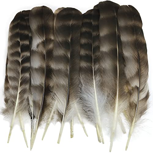 Natural Pheasant Feathers Luorng 30Pcs Wild Turkey Feather For Diy Craft 15-22Cm Assorted, Guinea Fowl Wing Quill #TOP5