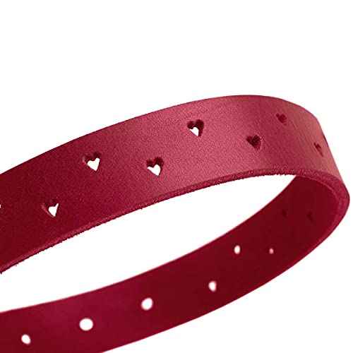 Collier pour chien en cuir de vache résistant HUNTER Aalborg taille 50 rouge - 4