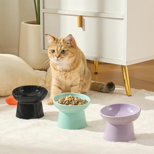 Gamelles en céramique pour chat avec support ergonomique incliné design chic