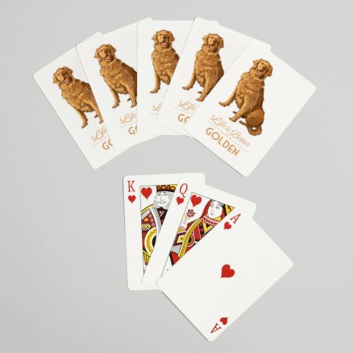 Baraja de póker Golden Retriever 52 cartas tamaño poker miniatura 7