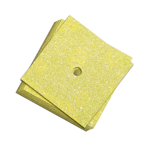 [Shinycome] Ob^[p10Zbg 10 23x23x2.5cm ƃp[eB[fR[V LbvpJX^}CY v~AƖXq