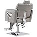 BarberPub Barber Chair Reclining Salon Chair for Hair Stylist, Antique Hair Spa Salon Styling Beauty Equipment 8132 (Silver Grey)