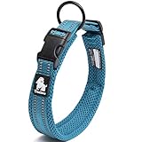 J&C Paradise 定番 犬首輪 日本正規店 犬用首輪 軽い 3M反射 メッシュ おしゃれ 人気 痛くない ソフトパッド 通気性 丈夫 簡単装着 TRUELOVE (ブルー, ‎XS)