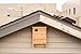XL Two Chamber Bat House for Outside Bat Roosting |Premium Cedar Bat Box for Eco Friendly Mosquito Control