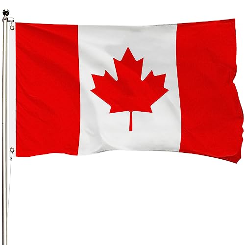 Drapeau canadien anti-décoloration robuste avec œillets pour mât - 2