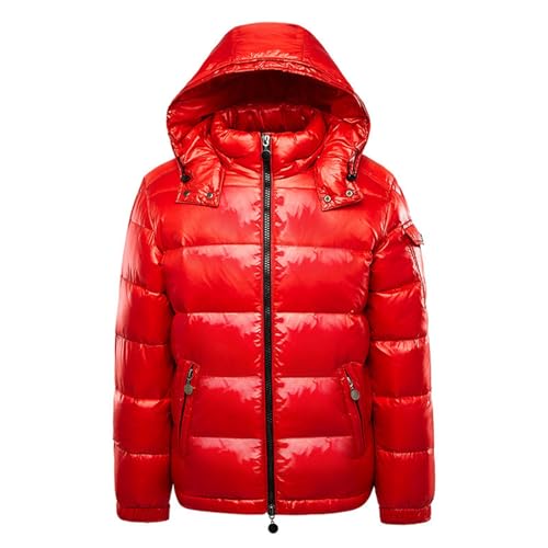 Men's Thermal Shiny Hooded Down Jacket,Warm Metallic Down Coats WaterResistant Down Coats Insulated Padded Puffy