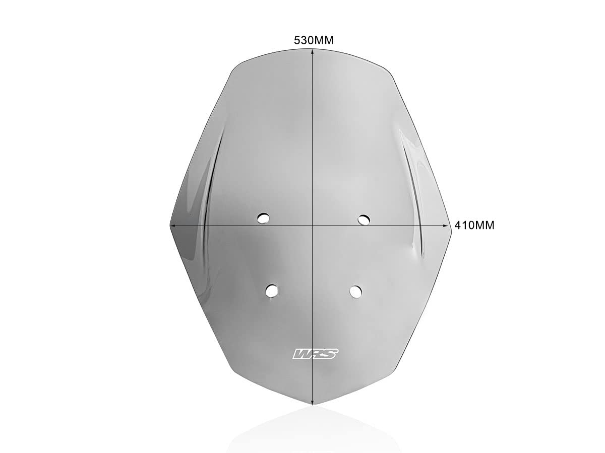 CUPOLINO TOURING FUME' WRS SR GT 125 / 200 2022-2025