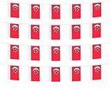 FFILL Singapore Banner Flag, Singapore Mini Flag Small Banner, for Party, Shops and Bars Decorations, And International Day Celebrations (Singapore)