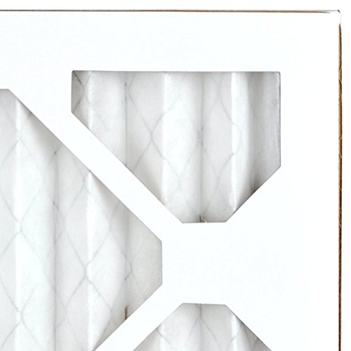 Clean Air, Fewer Allergies: AIRx Filters 12-Pack Review 8 41Wnrs2yqeL. SL500