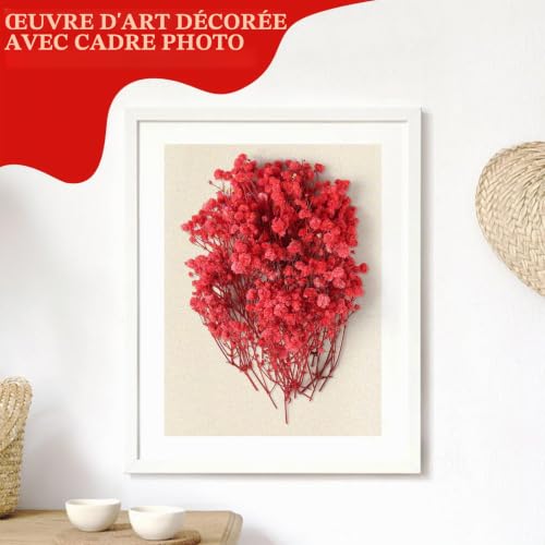 jwogngls 100 Pièces Fleurs Séchées, Vraies Fleurs Sechees Naturelles, Résistant à la Décoloration, Mini Gypsophile Séché pour Spécimens Botaniques, Cadres Photo, Nail Art(Crimson) – vue 4