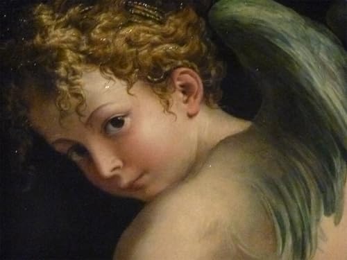 Affiche Murale Tableaux Cupidon Parmigianino Poster Animaux Art Décoration de Bureau 60x90
