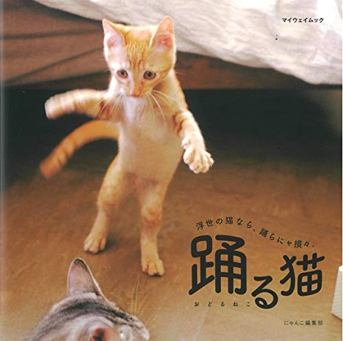 踊る猫 (マイウェイムック)