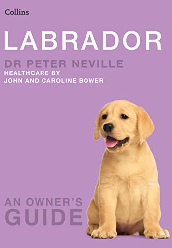 Labrador: An Expert Vet-Consulted Guide to Dog Training and Essential Pet Care (Collins Dog Owner’s Guide)