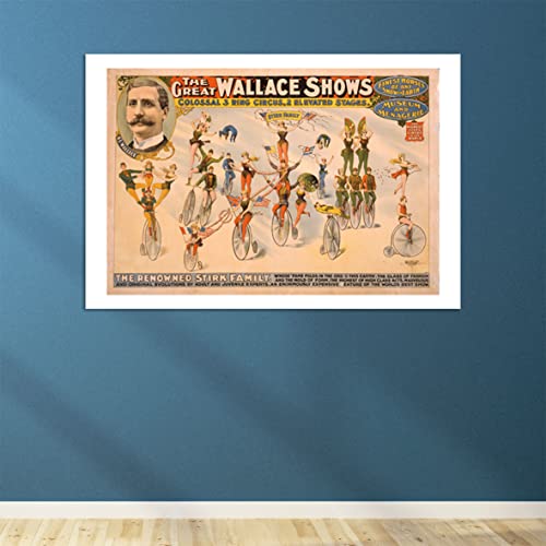 Poster cirque encadré grand format mat anti-reflet durable